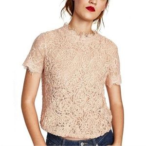 Zara Lace Embroidered Top